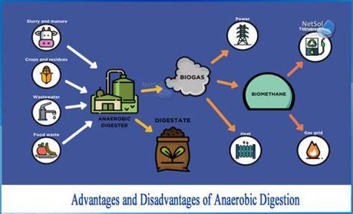 What are the disadvantages of anaerobic digestion?