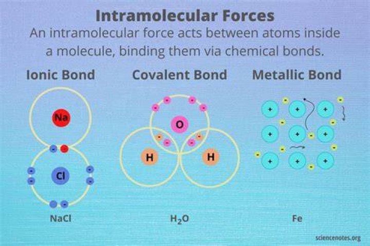 What are three examples of intramolecular forces?