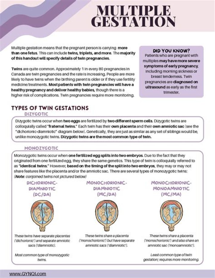What is meant by multiple gestation?