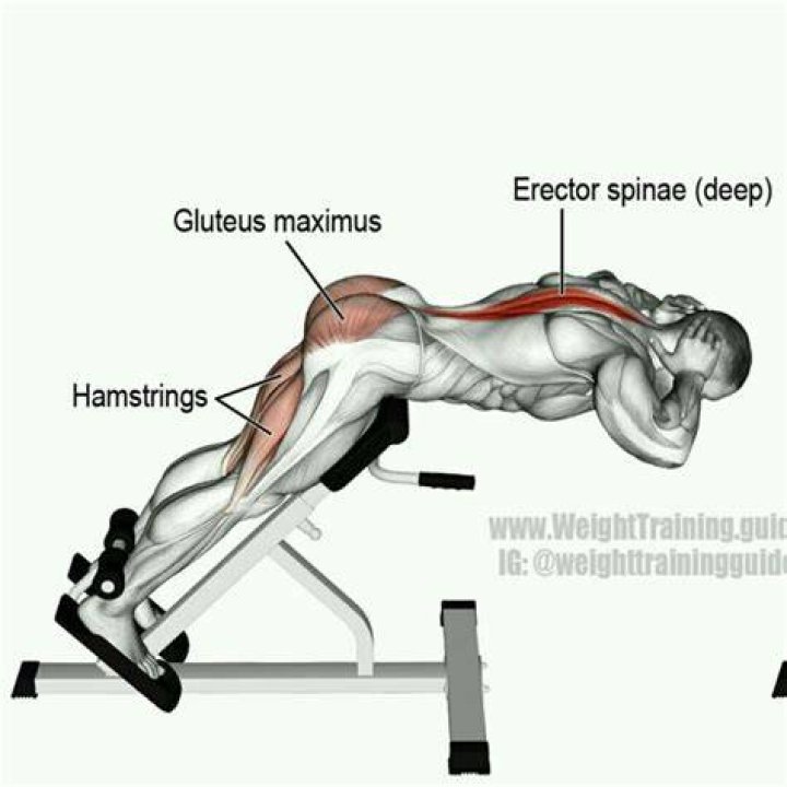 What muscles does a hyperextension bench work?