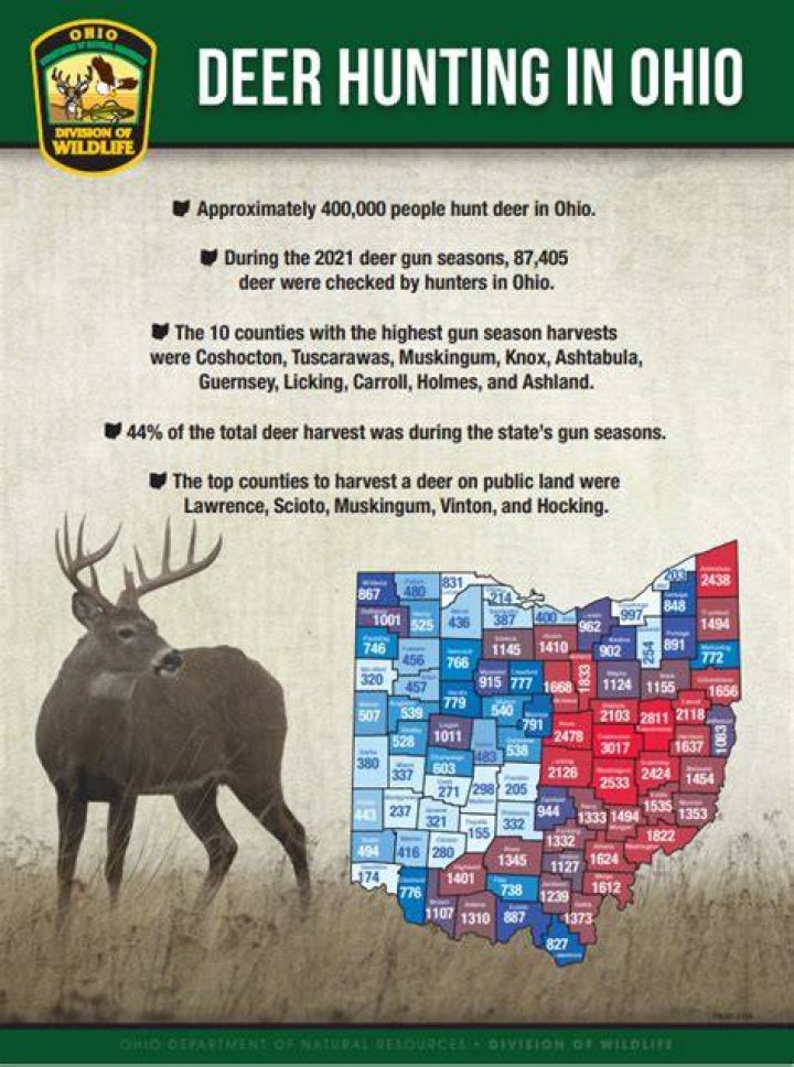 What part of the rut is best to hunt?
