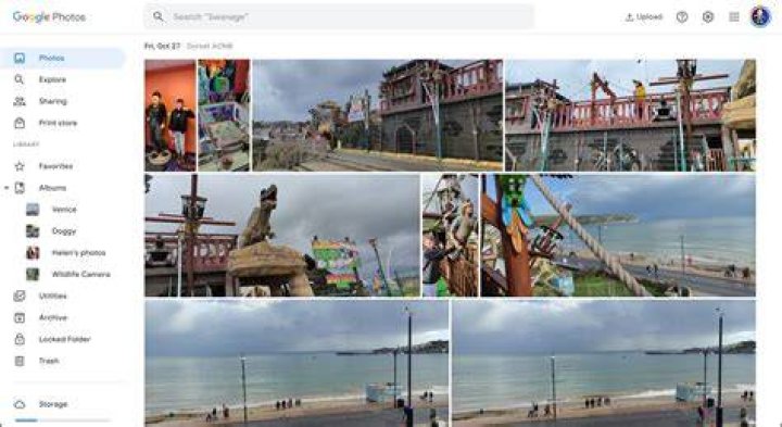 Where are my Google Plus photos stored?